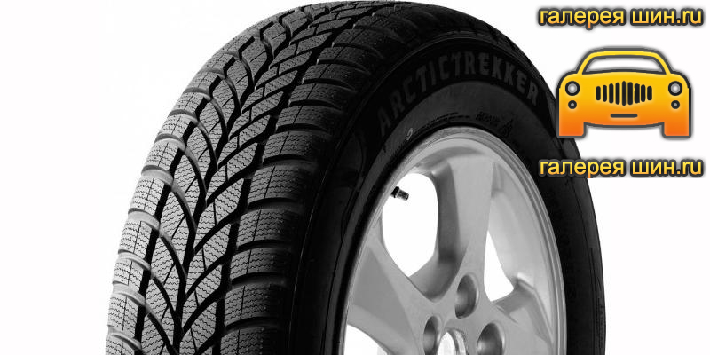 Шины Maxxis WP-05 Arctic Trekker