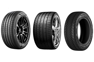 Для первичной комплектации Audi A5 и S5 выбраны шины компании Goodyear
